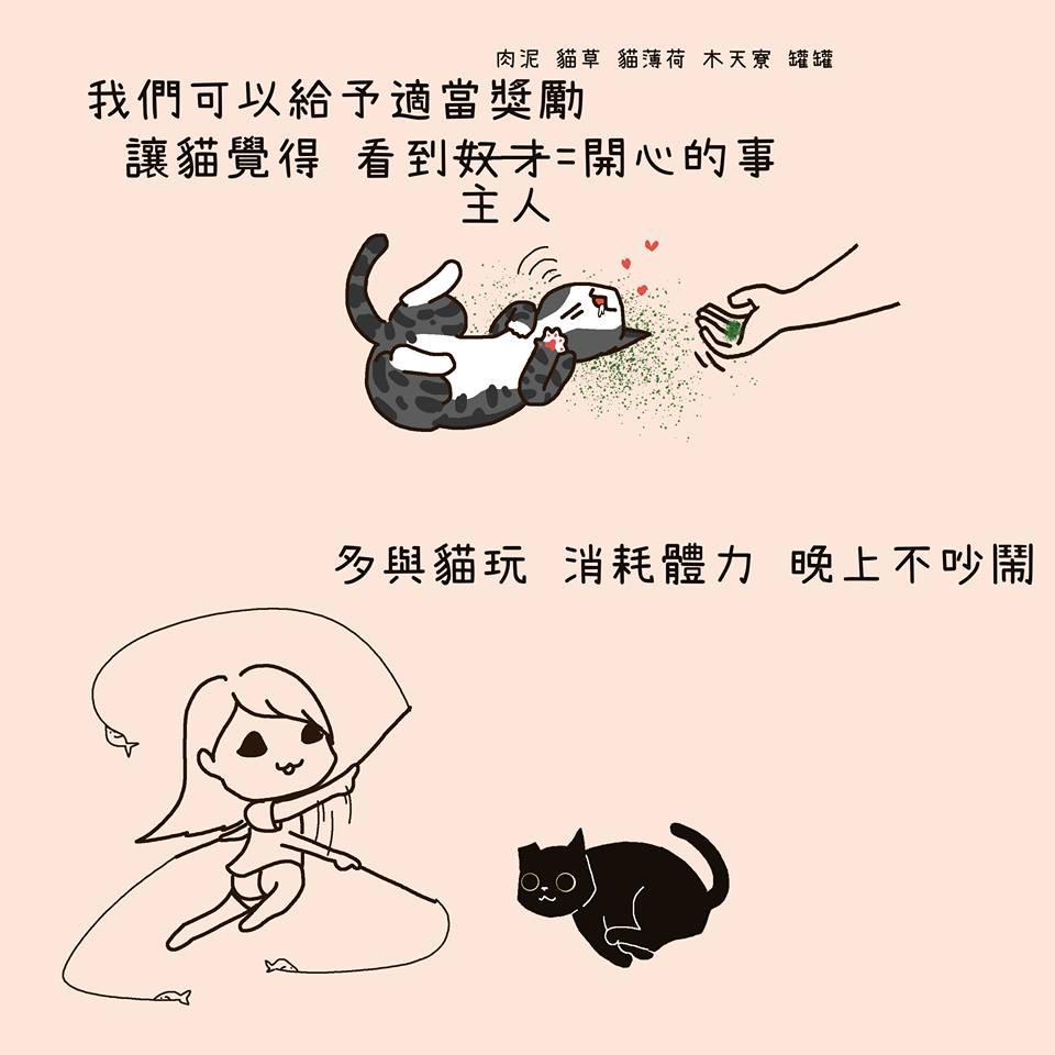 FB 我的貓貓生活