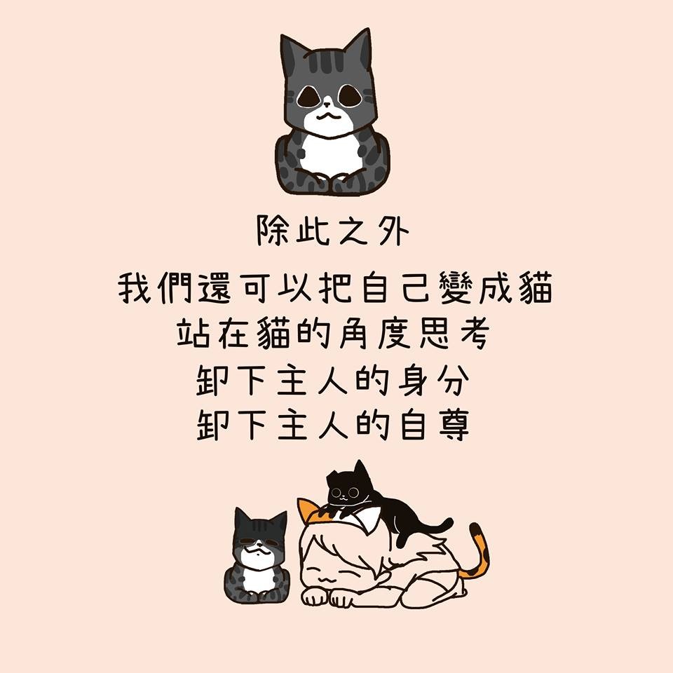 FB 我的貓貓生活