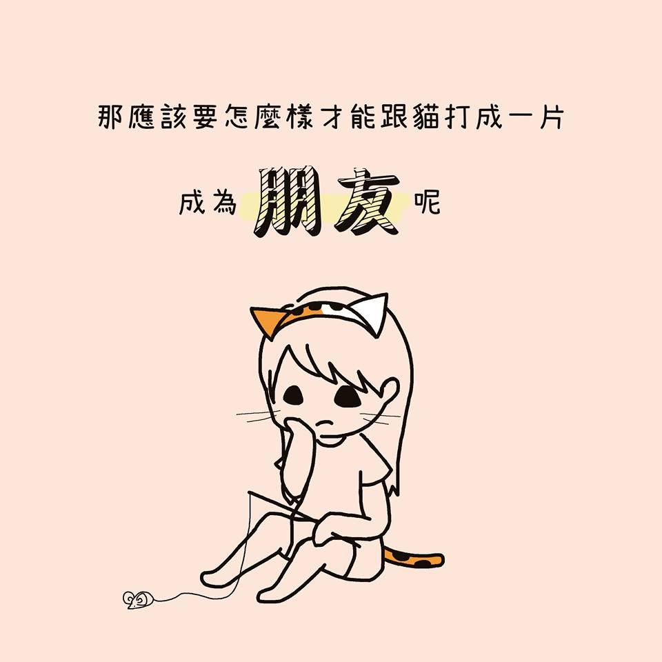 FB 我的貓貓生活