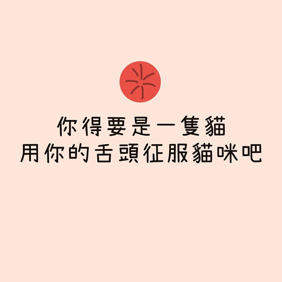 FB 我的貓貓生活