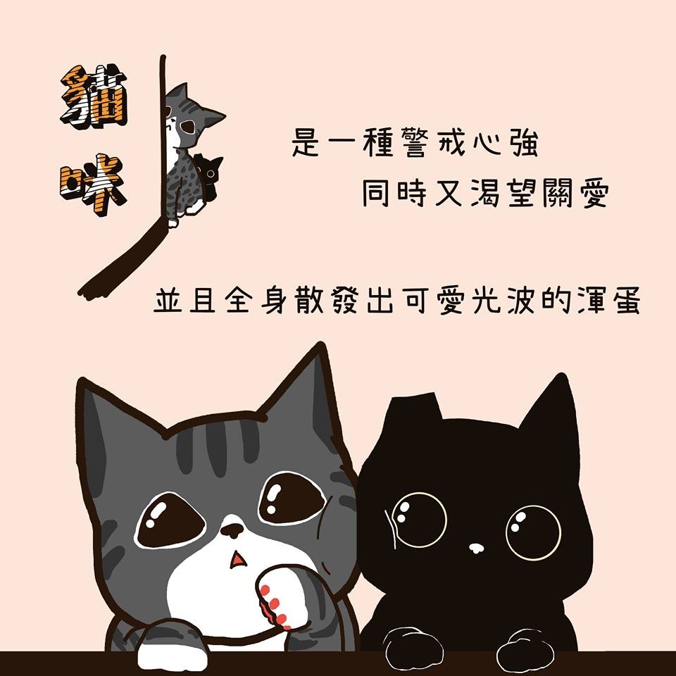 FB 我的貓貓生活