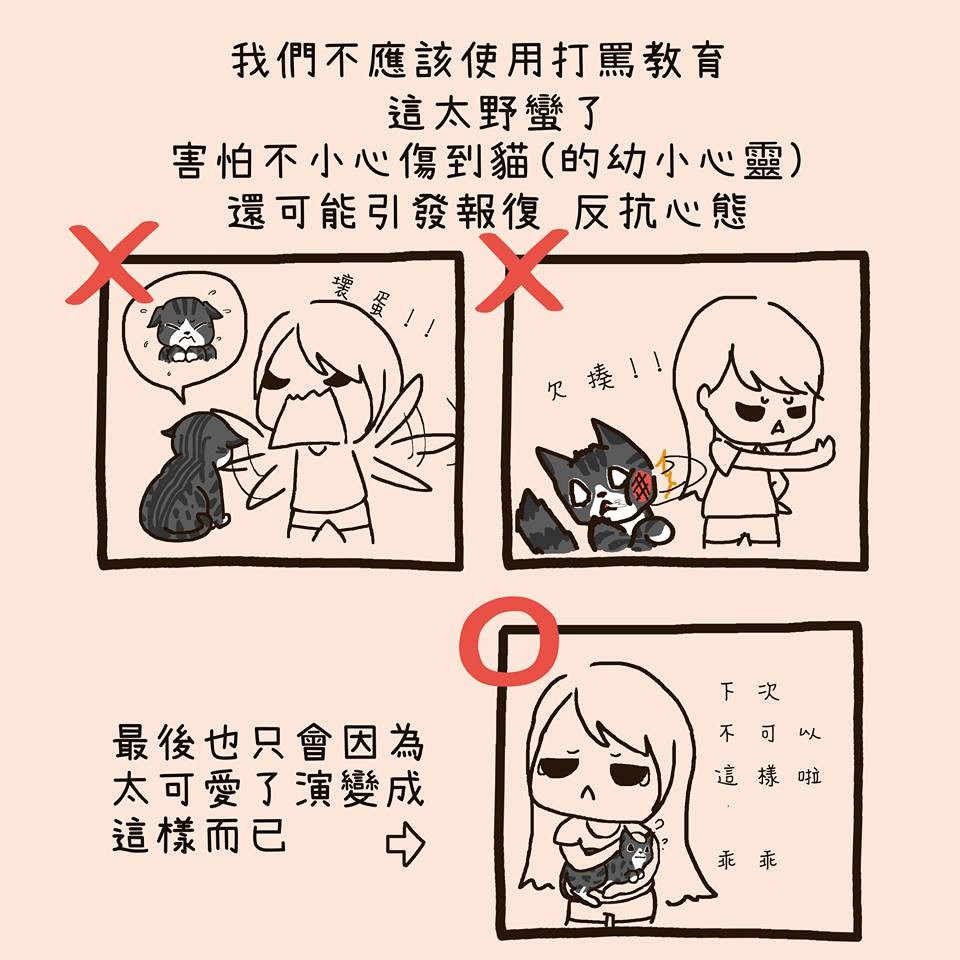 FB 我的貓貓生活
