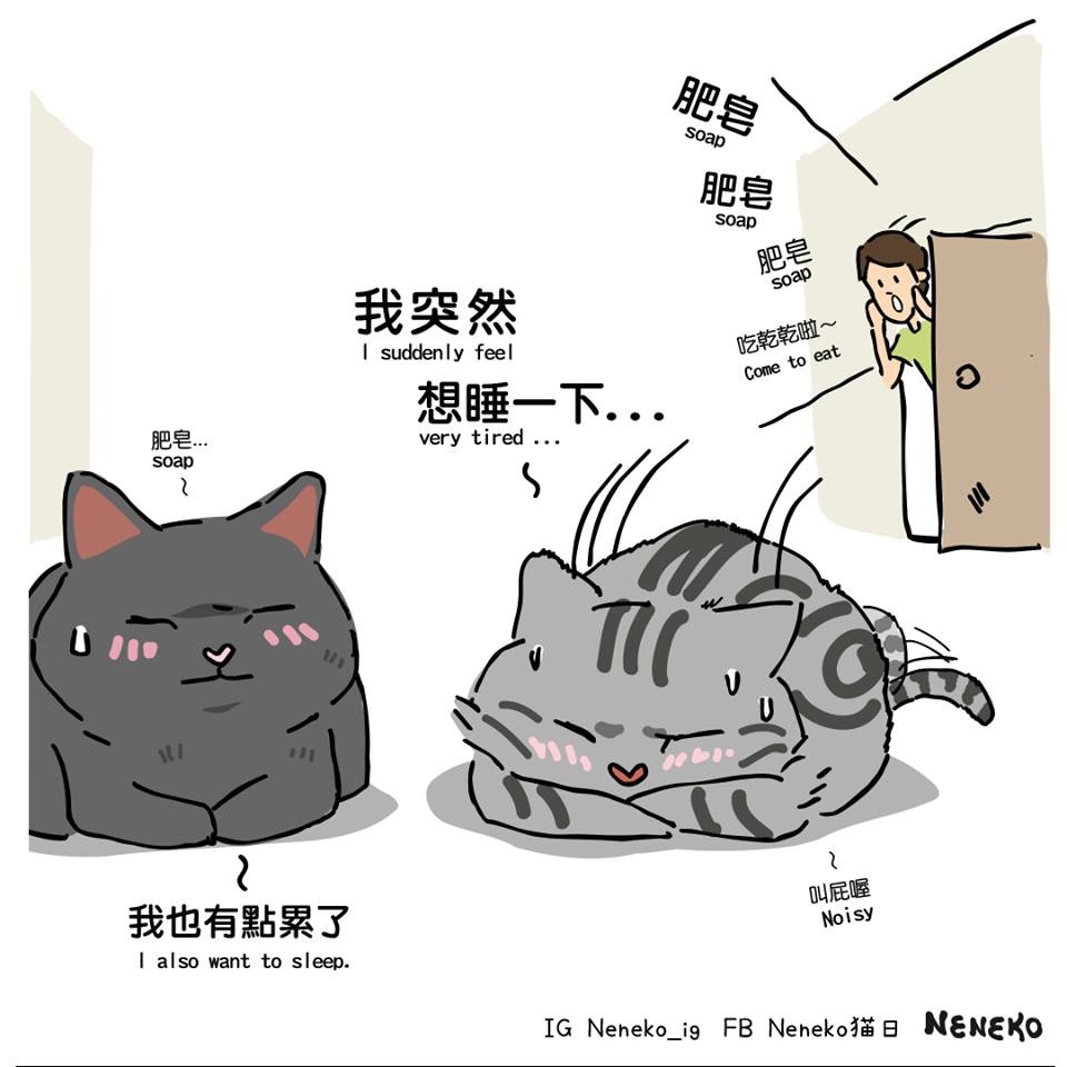 FB Neneko 貓日