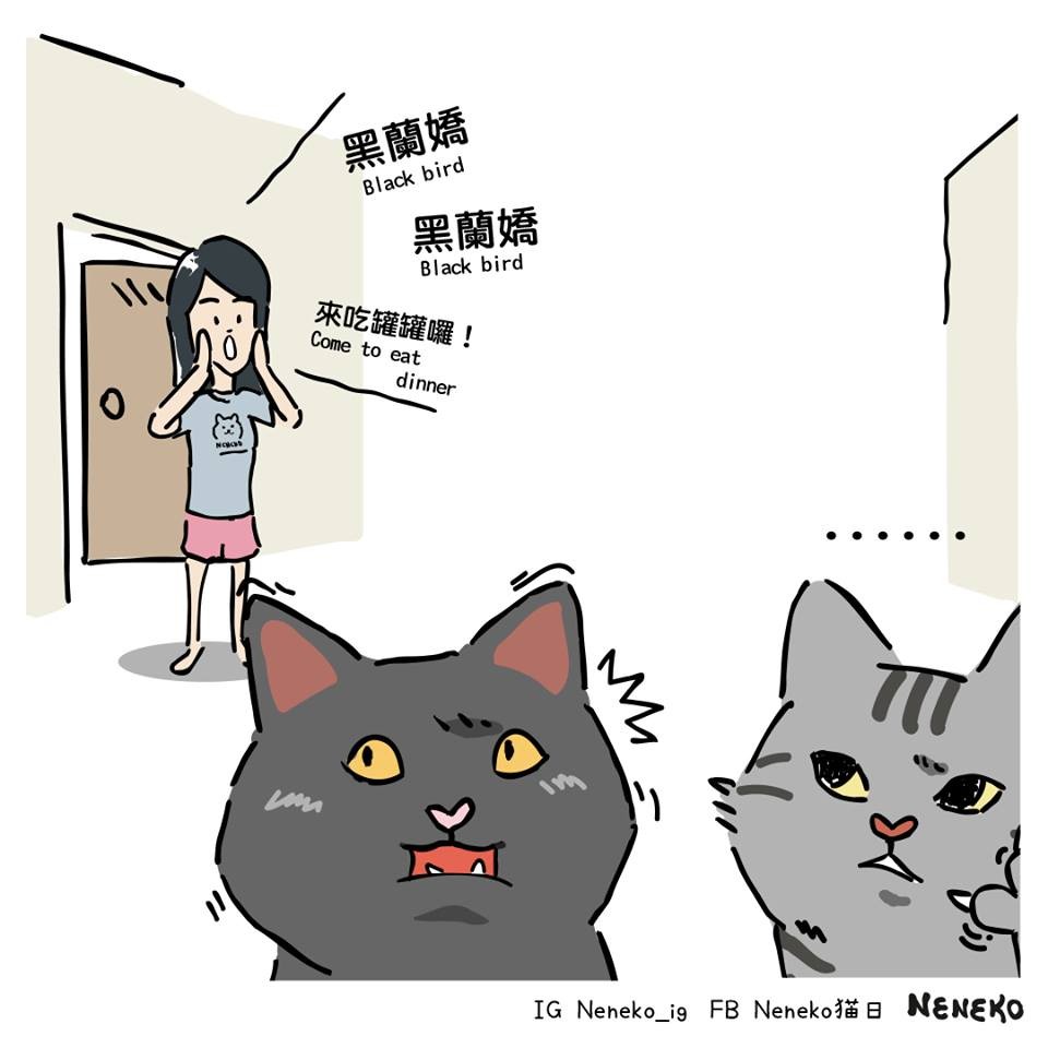 FB Neneko 貓日