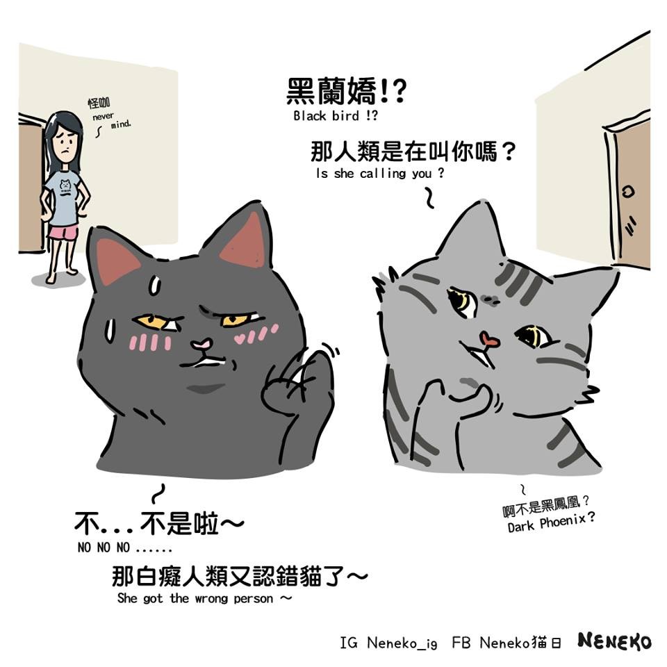 FB Neneko 貓日