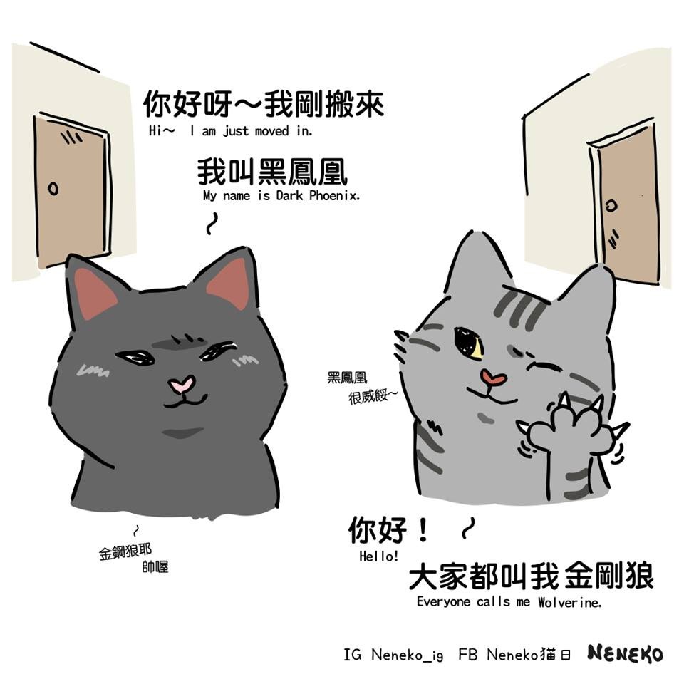 FB Neneko 貓日