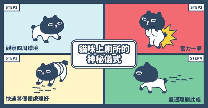 【Kuroro不可思議的貓科學】第十八話 - 貓咪上廁所的「神秘儀式」！你家是哪種呢？