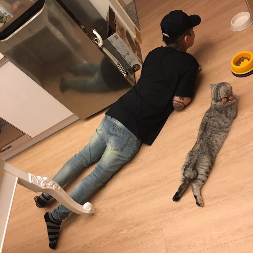 bella0305_voguecat 