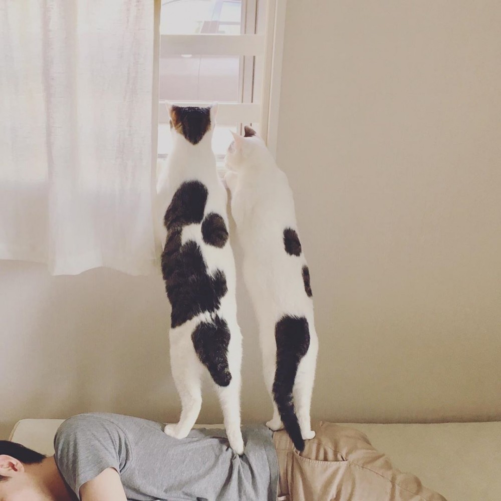 @lou_and_nico