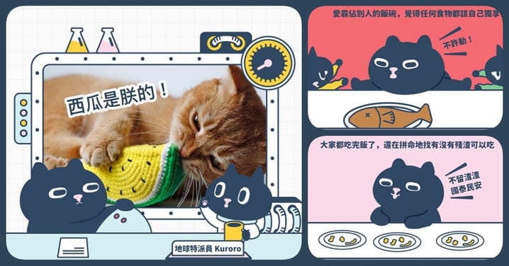 【Kuroro不可思議的貓科學】第十七話 - 貓咪 3 種吃貨類型大公開！你家是哪種吃法呢？