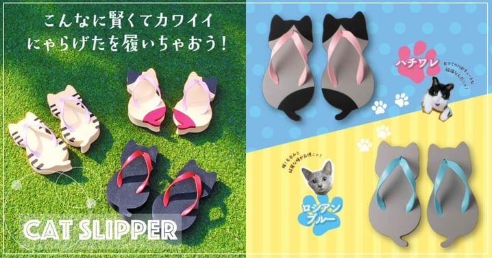 不負責任推坑！日本超萌「貓咪人字拖」，鞋子附加麒麟尾，可愛爆表♥網：根本逼人包色！
