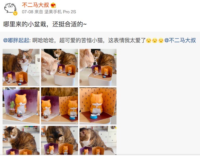 @不二马大叔