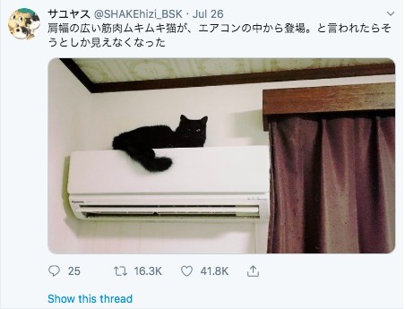 twitter/ @SHAKEhizi_BSK