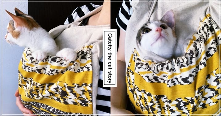 超方便！日本貓奴特製「貓袋」，讓你做家事也可以把貓帶著走  網：超想買der!