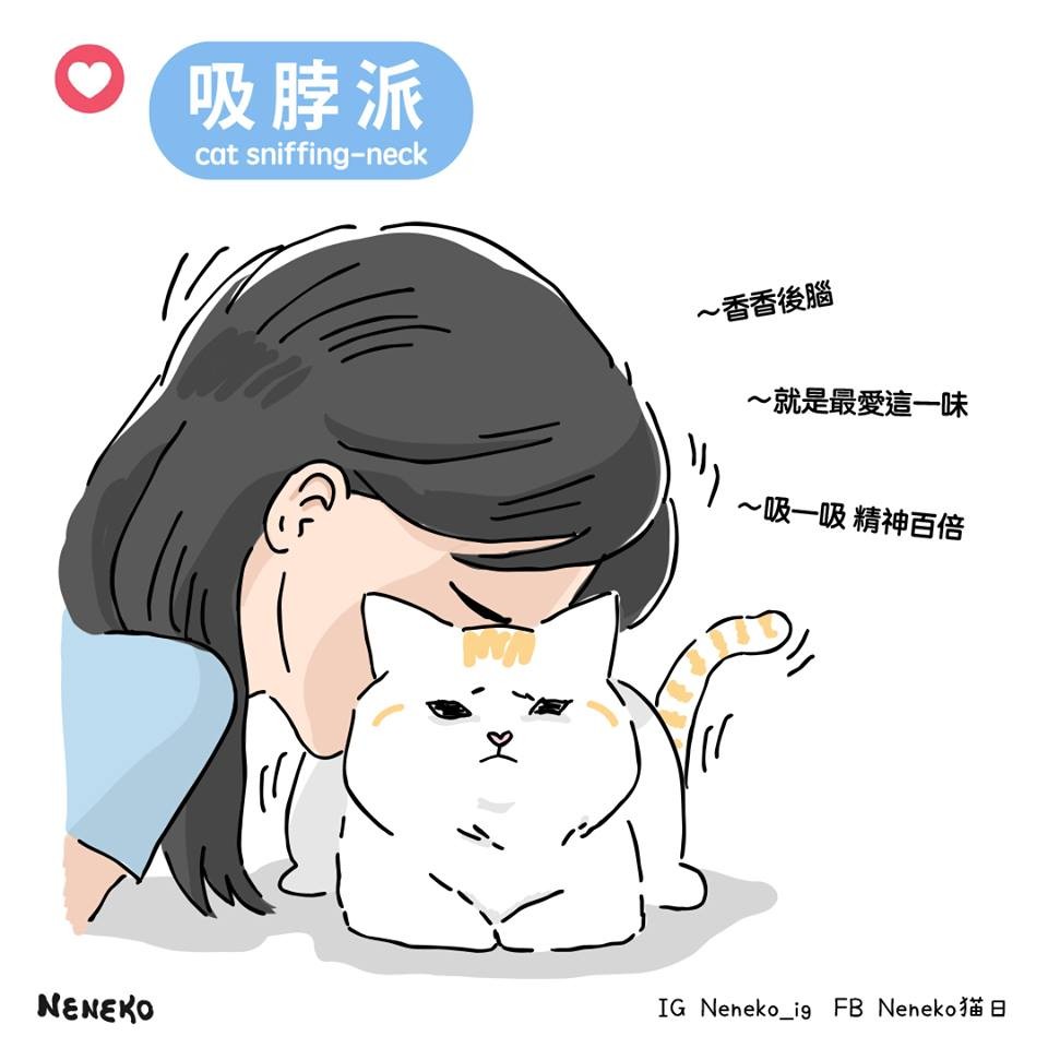 Neneko 貓日