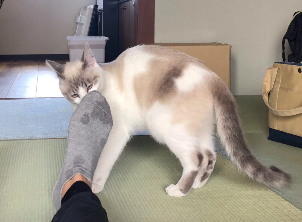 @sano_sano_sano_