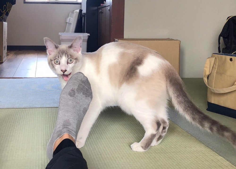 @sano_sano_sano_