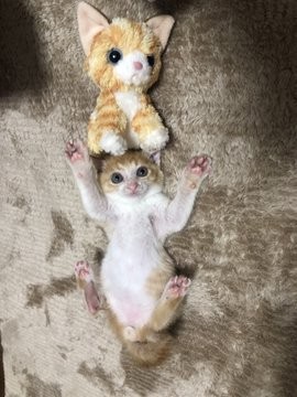 @618_mail