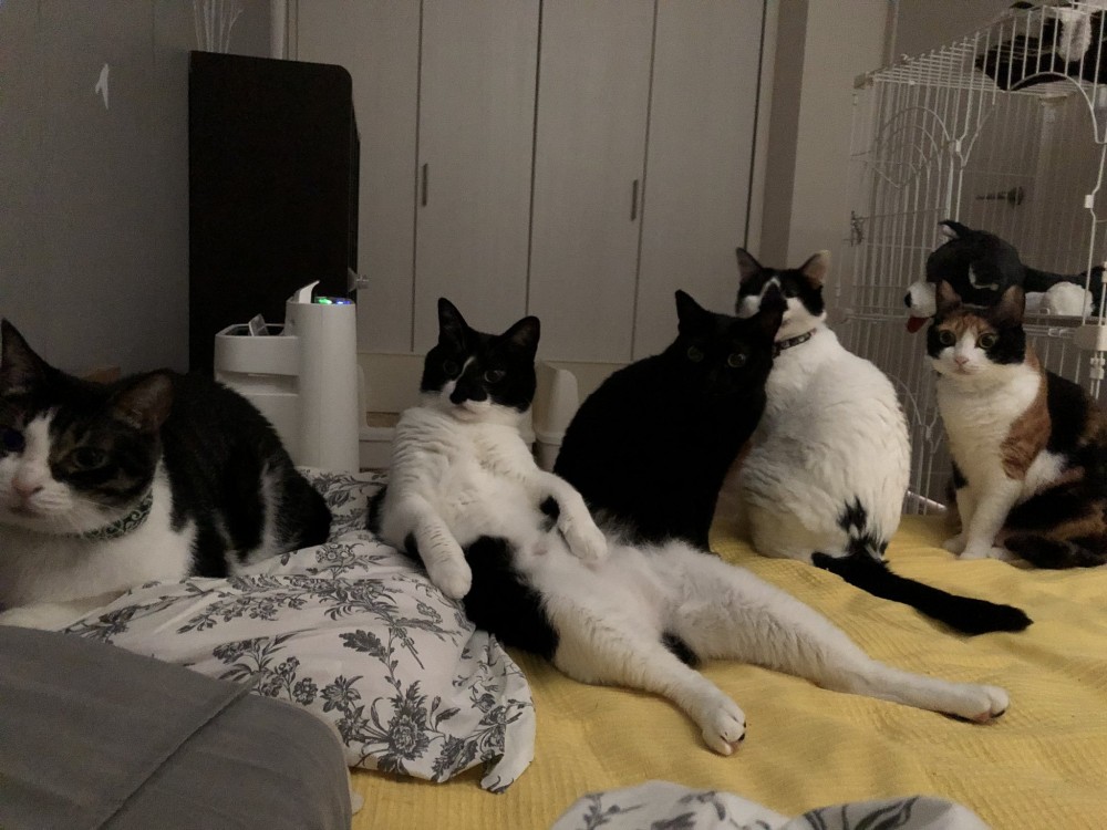 twitter / HOMEALONe_ksk