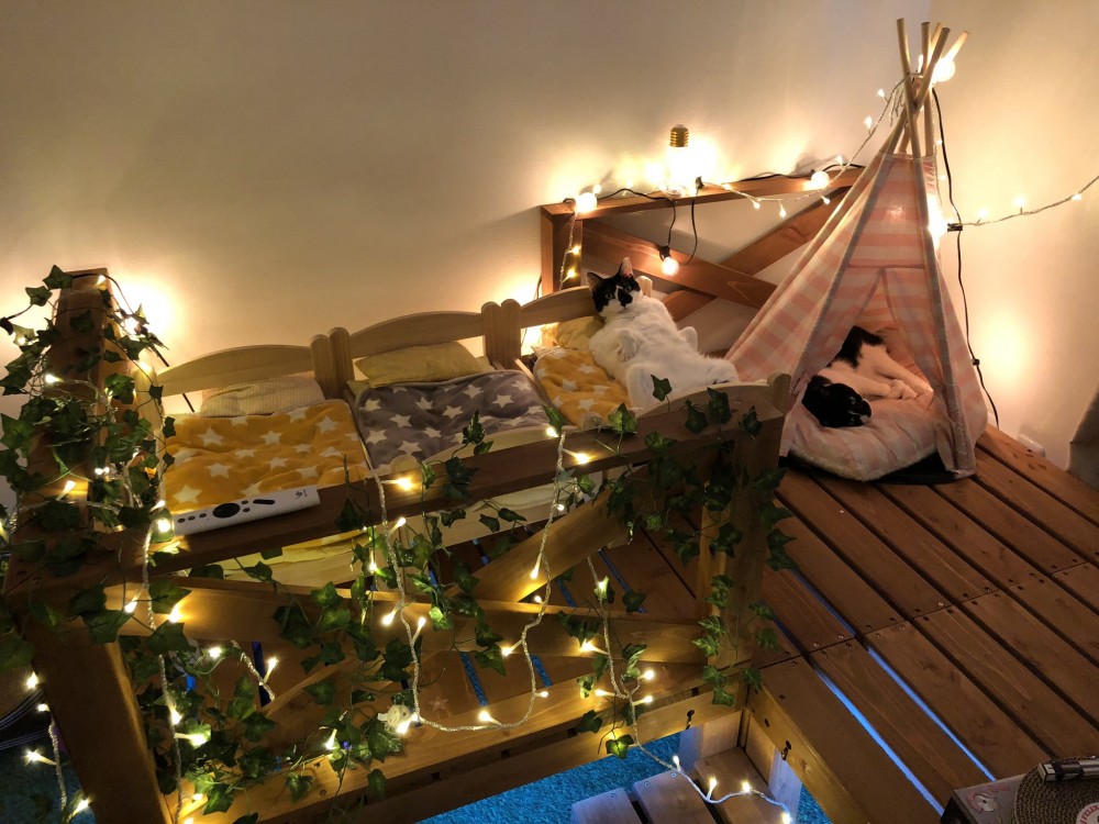 twitter / HOMEALONe_ksk