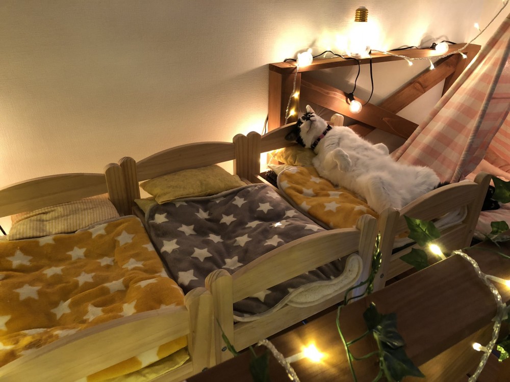 twitter / HOMEALONe_ksk