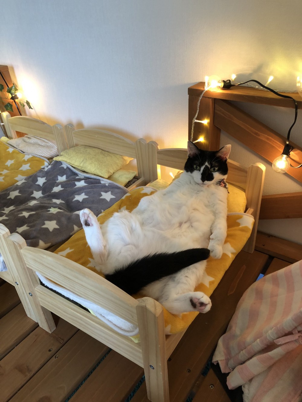 twitter / HOMEALONe_ksk