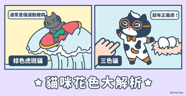 【Kuroro不可思議的貓科學】第二十一話 - 貓咪原本都是黑色？喵星人花色大解析！！！！