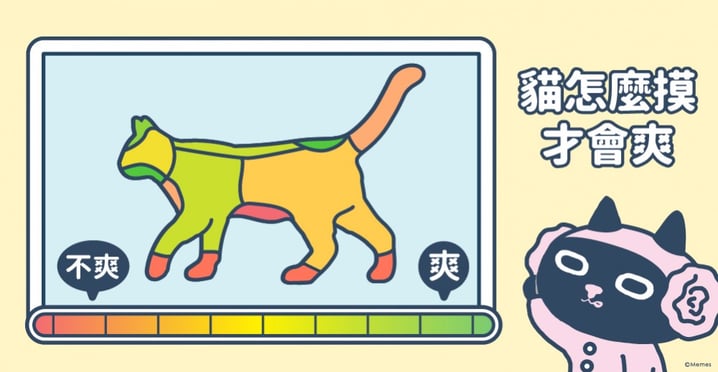 【Kuroro不可思議的貓科學】第二十四話 - 摸哪才會爽？讓貓升天的按摩絕技大公開！