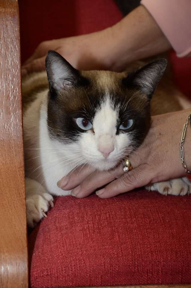 Paróquia São Sebastião - Atibaia/SP