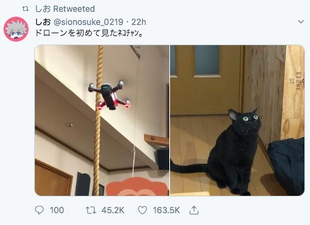 @sionosuke_0219 