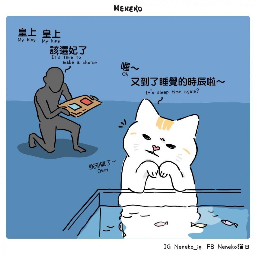 Neneko 貓日
