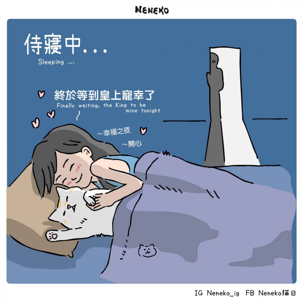 Neneko 貓日