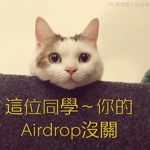 FB 肥宅腰子的日常