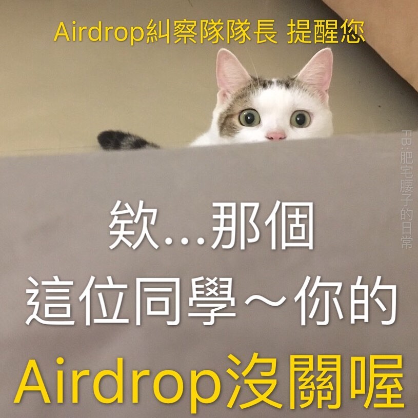 FB 肥宅腰子的日常