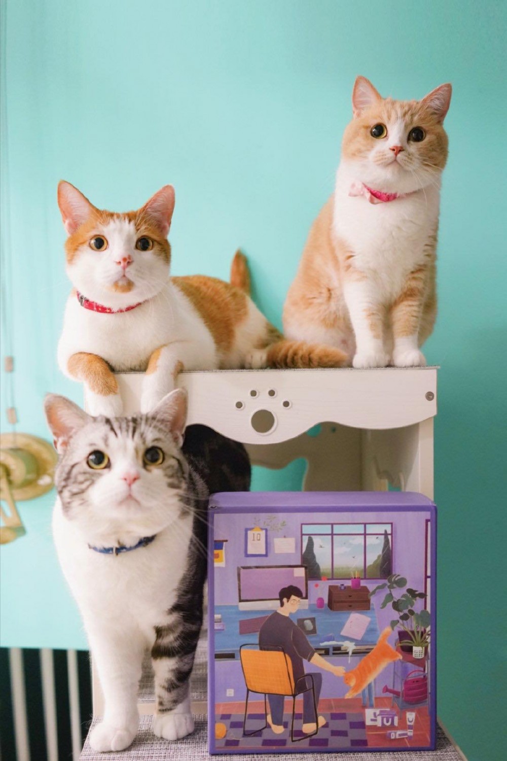 Bobi蹲完麥克蹲麥克蹲完Niko蹲