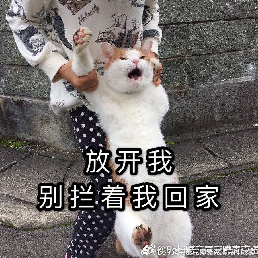 Bobi蹲完麥克蹲麥克蹲完Niko蹲