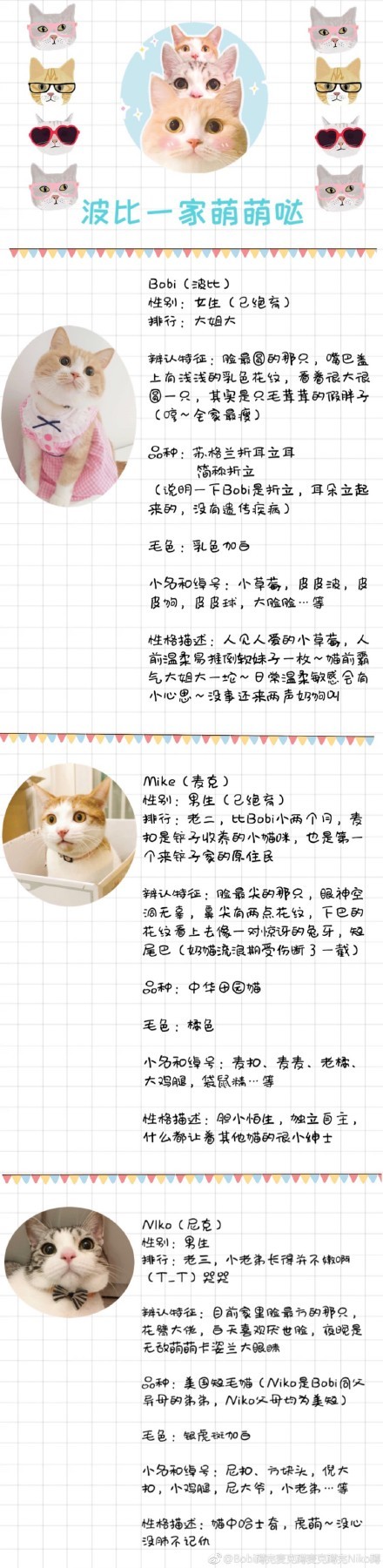 Bobi蹲完麥克蹲麥克蹲完Niko蹲