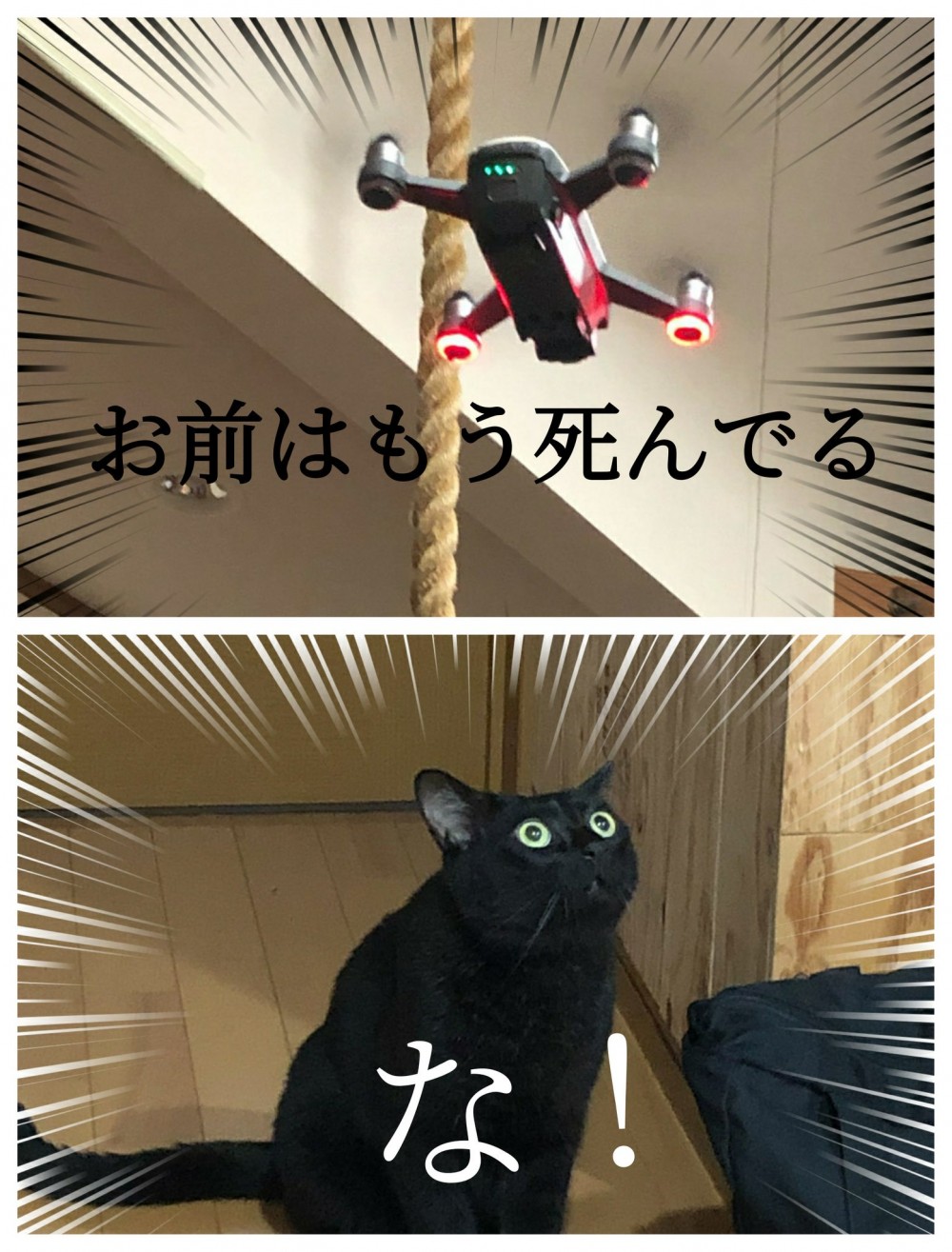 @Konaru9 