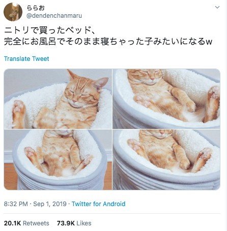 @dendenchanmaru