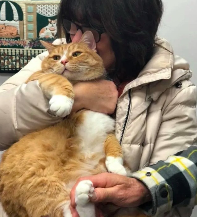  Michigan Cat Rescue.