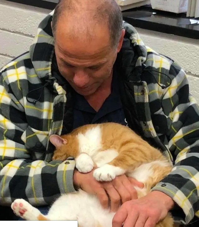  Michigan Cat Rescue.