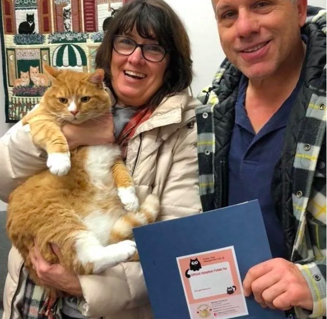  Michigan Cat Rescue.