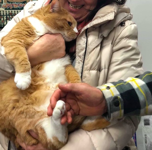  Michigan Cat Rescue.