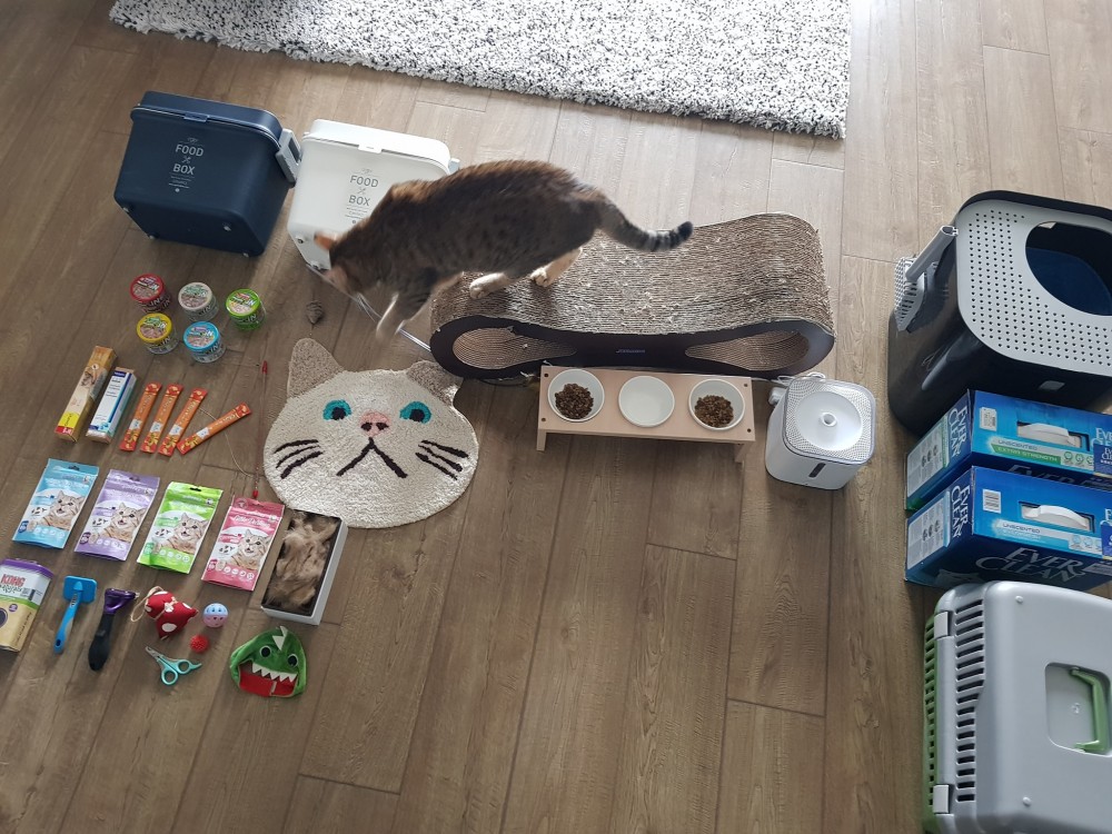 ＦＢ/兩貓是朵花