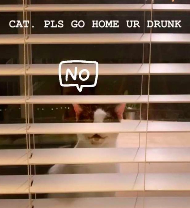 恐怖的監視畫面