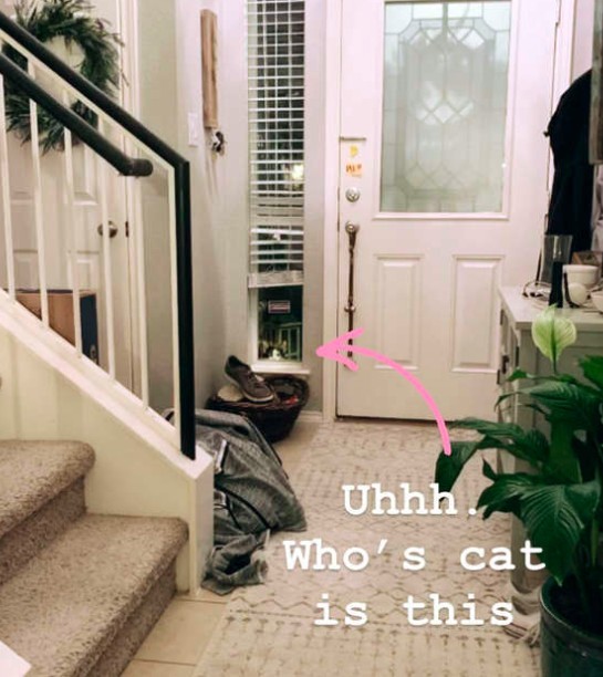 窗邊默默盯著你