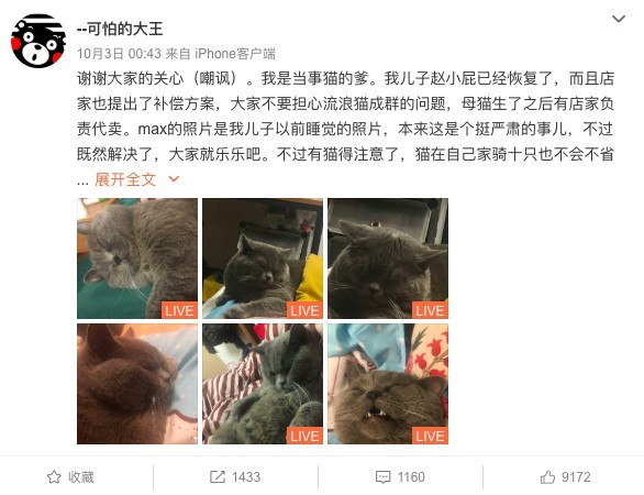 大戰5喵累翻的公貓