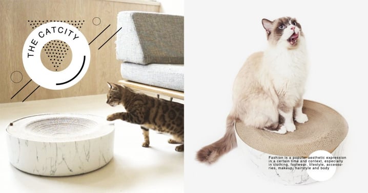 大理石紋美爆！台灣品牌「冥想貓床」奢華升級，可躺可抓超便利！讓貓咪一秒愛上～