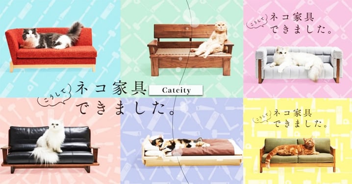 這會不會太高級！日本東京「貓傢俱展」即將開跑，專屬喵沙發、小床真4太犯規惹R～