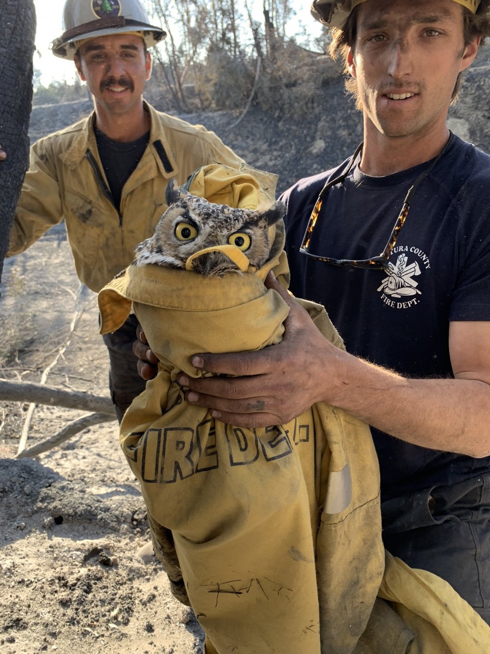 Twitter @VCFD